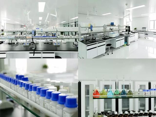 ������ | ���˾�����������������(gu��)؛Ʒ��