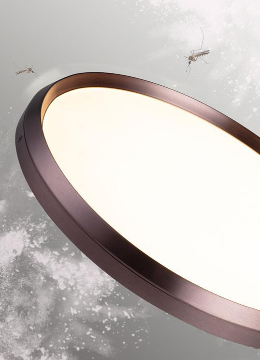 һ��s��������������픟����s׌�Ҳ����s