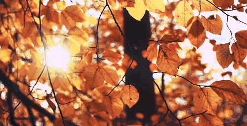 �@�ӵĄe���(y��ng)�ⷿ���M���㌦(du��)������������