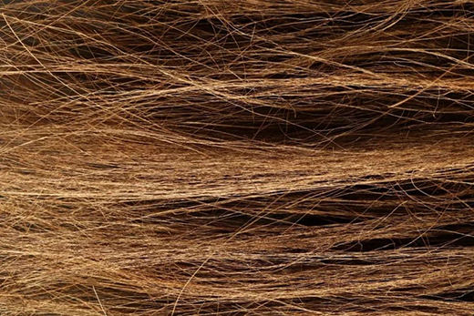 ����Ȼ���|���ѣ���ҹ����ҲҪ���и��|(zh��)���Ľ���˯��