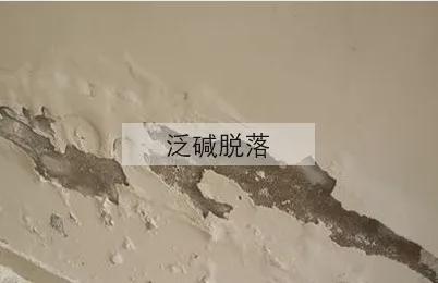 ��(gu��)����(d��ng)?sh��)�����ʿ���졪����ʿSOK�����Ʒ�|(zh��)���bͿ��