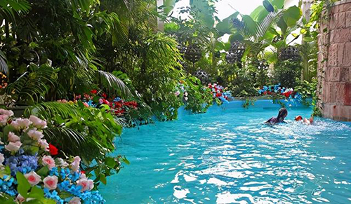 ��˹�Ǳ�����֮����(gu��)�����ռ��䣬�ß����c���ӭ������