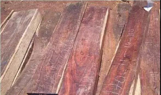 ��t��֦�Ҿ������M(j��n)�롰���ƻ����r��