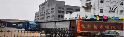 �������塱ӭ�������l����Ϳ���I(l��ng)��ĳ�����һƥ�����R��?