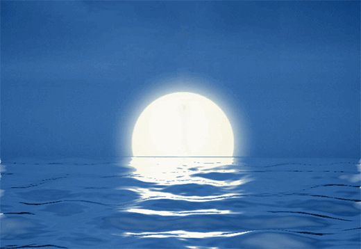 �P���T(m��n)�I(y��) | ����ѹ�(ji��)�����ǐ�(��i)�Ěw;