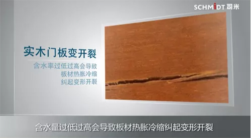 ˾�י��� ����ľ�|(zh��)�T��ı��B(y��ng)����!