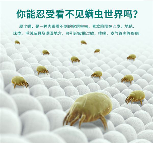 ��Ճ������������F�ݚ����xС�C��߀�㡰�]��������