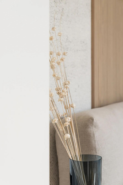 ���s�L(f��ng)�ă���һ�d���P����ľ���������̫�з���!