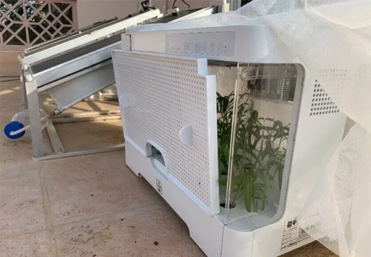 ̫���늳ذ��ڰl(f��)늵�ͬ�r(sh��)���ֲ��?