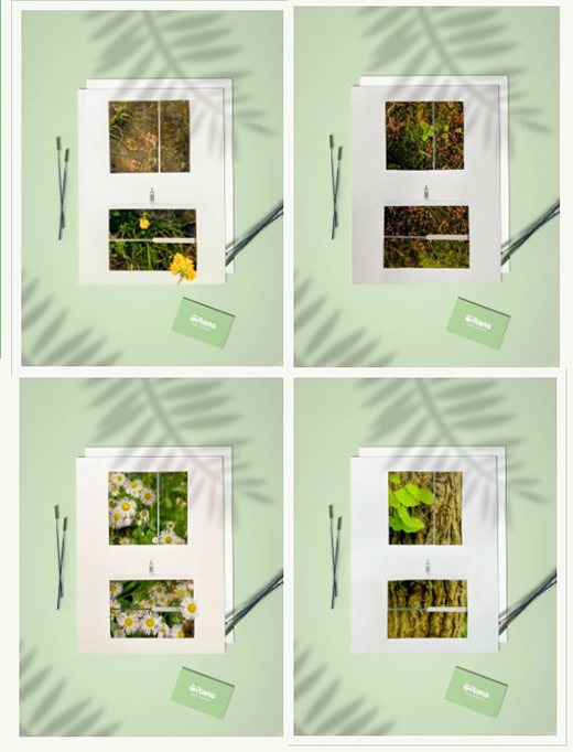 �W·ɯ�l(w��i)ԡ����ס���յĽk����ӭ��ʢ�ĵķ��A