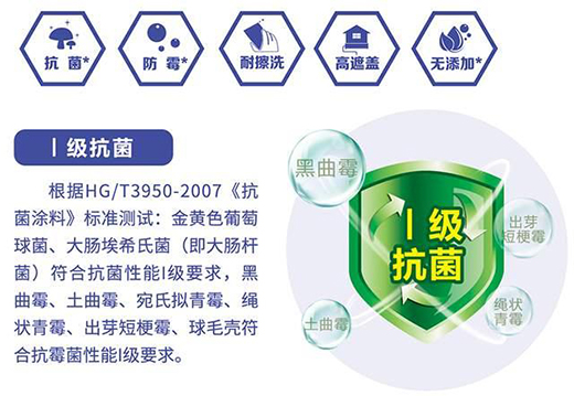 晨陽水漆24周年發(fā)布初馨系列內(nèi)墻水漆：初見傾心 馨滿意足