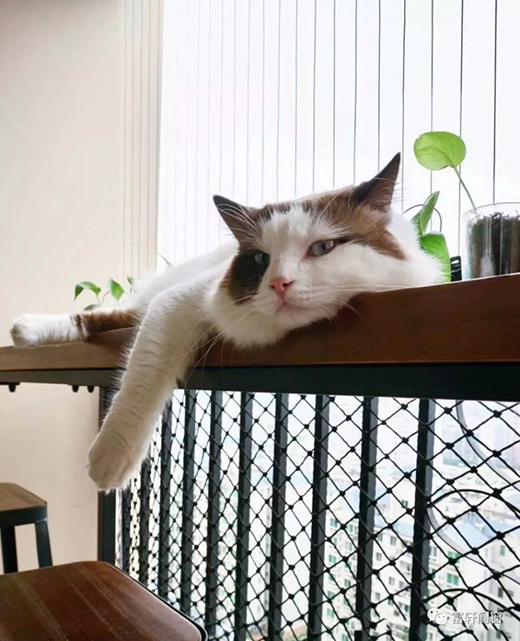 ��܎ȫ���T����_(t��i)�๦���O(sh��)Ӌ(j��)����������N�N����