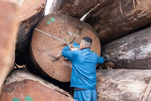 Ī��ɽ�߶˼Ҿ߰� | ��ԭľ֮�����ؘ�(g��u)�����