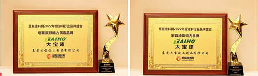 實(shí)力共鑒 | 大寶漆蟬聯(lián)“墻面漆影響力品牌”、“家具漆影響力品牌”獎(jiǎng)項(xiàng)