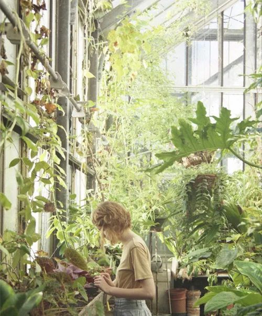 陽光房，花園生活的全新選項(xiàng)