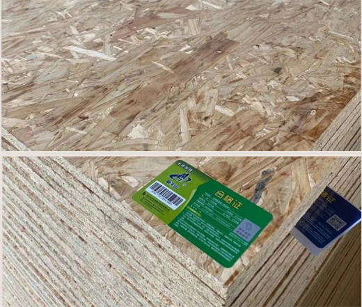 OSB������á�о���x��������Gɫ֮��