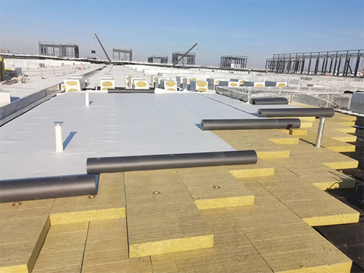 �|�����y�֊W��һ������̽�Gɫδ��(l��i)