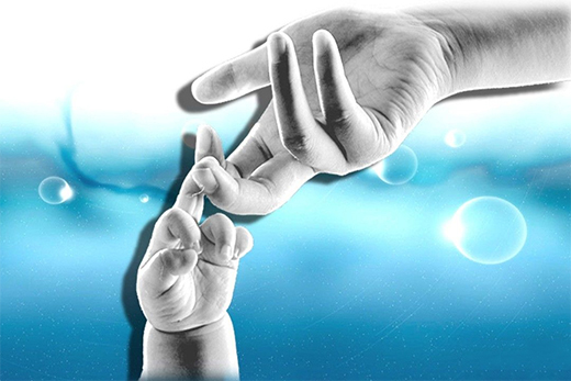 定制櫥柜呈現(xiàn)邊緣化? 一站式廚房空間解決戰(zhàn)已打響!