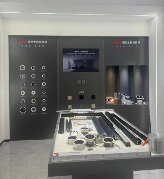 澳克士智能邵東交流會:探索智能照明新篇章