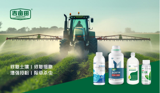 ��܊Ʒ�|�������o��ح�������޻����ʔy����ȭ����܊κ����