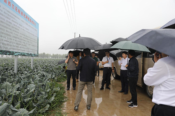 �y����I(y��)��ý�w�����조���P(p��n)ɽ���^(q��)����Ʒ�������