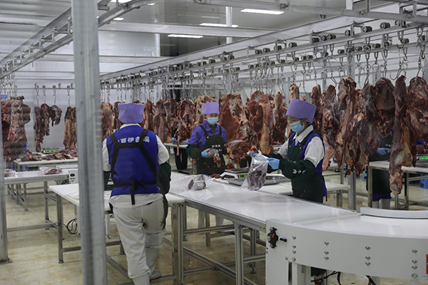 攜手企業(yè)和媒體，打造“六盤山”區(qū)域公用品牌新天地