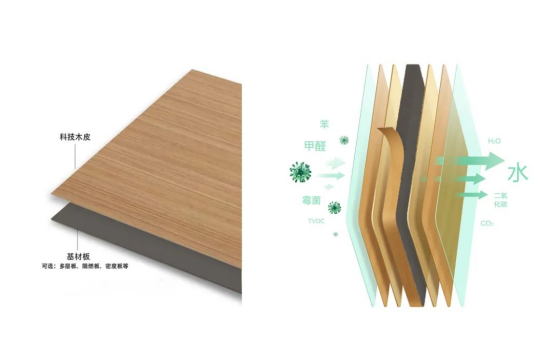 �Wҫ�Ͼ������Z�߶������԰�ĵđ�(y��ng)��֮·